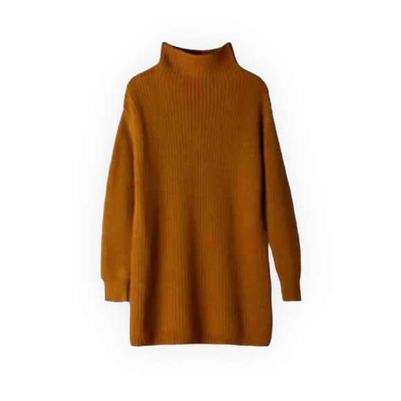 Wilfred Dresses & Skirts - Wilfred Montpellier Turtleneck Sweater Dress Tamarind Color Size Small